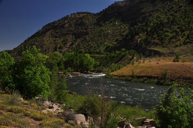 the Animas River, Durango